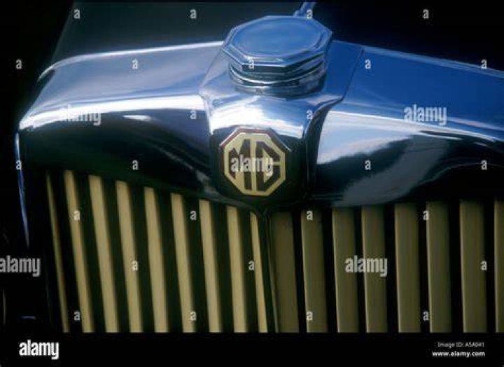 1 GRILLE MG Midget Octagon Parts