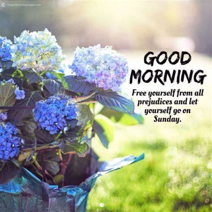 110+ Latest Good Morning Sunday Images, Photos & Pic