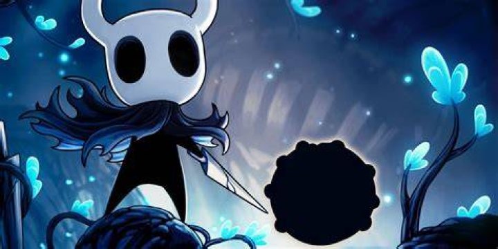 𝐒𝐞𝐚𝐥𝐞𝐝 𝐒𝐢𝐛𝐥𝐢𝐧𝐠𝐬 Hollow Knight&trade; Amino