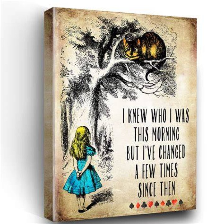 128 Timeless Alice In Wonderland Quotes Bored Panda