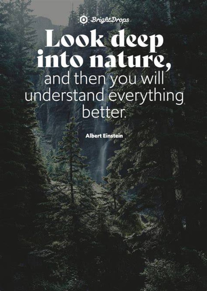 189 Inspiring Quotes on Natural Beauty and Having a Beautiful Soul