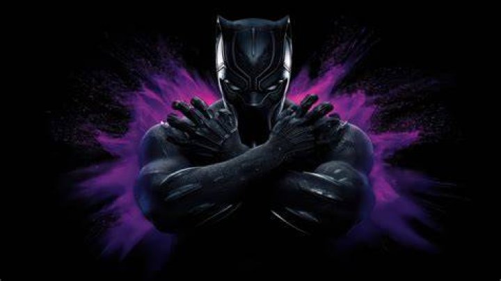 3840x2160 Black Panther India 4k Wallpaper Hd Animals 4k Wallpapers
