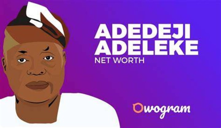 Adedeji Adeleke Net Worth 2021 (Davido's Father) Owogram