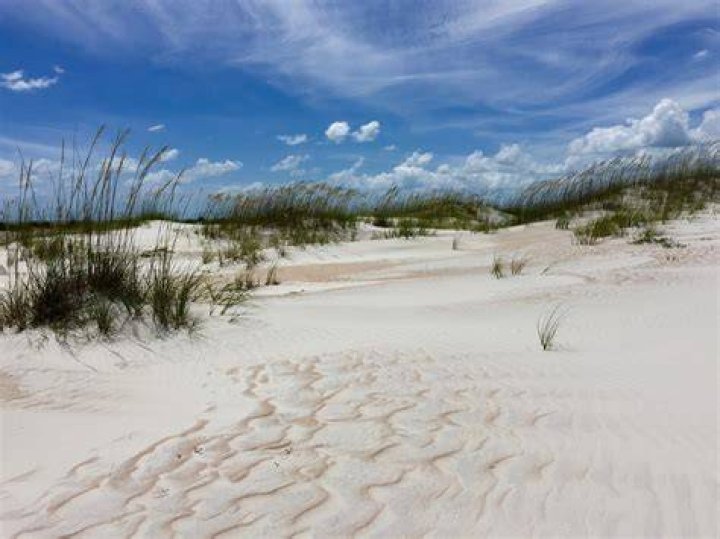 Anastasia State Park Florida State Parks San Augustine, Sam Rayburn