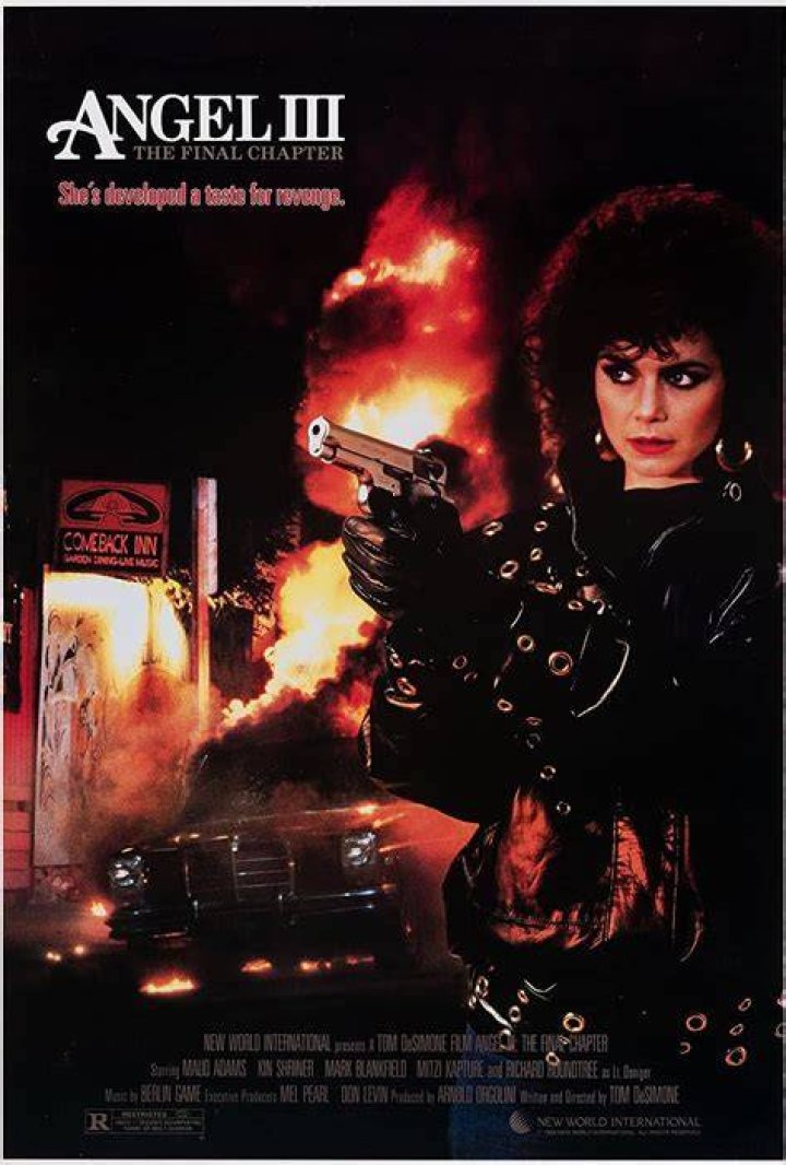 Angel III The Final Chapter (1988) IMDb