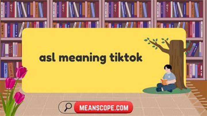 ASL Meaning On TikTok &mdash; Revealed BrunchVirals