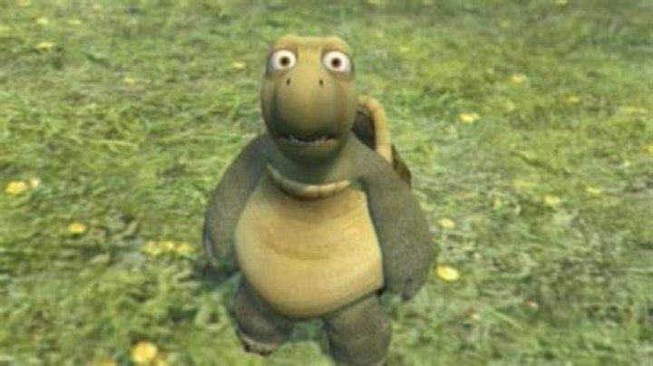 AUGHH!! meme Turtle Over the Hedge YouTube