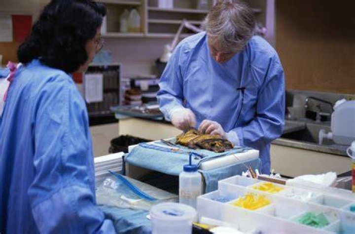 Autopsy and Medical Pathology School of Medicine and Health Sciences