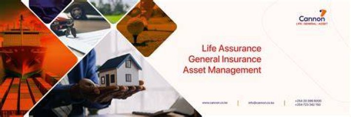 Benefits of MMS Cannon Group