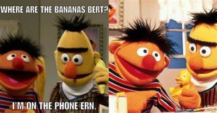 Bert Bert and Ernie Memes, Mood, Bert & ernie