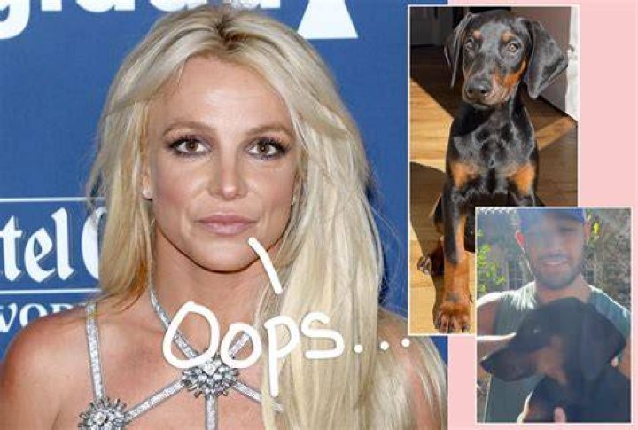 Britney Spears warned by animal control after pet Doberman escapes LA