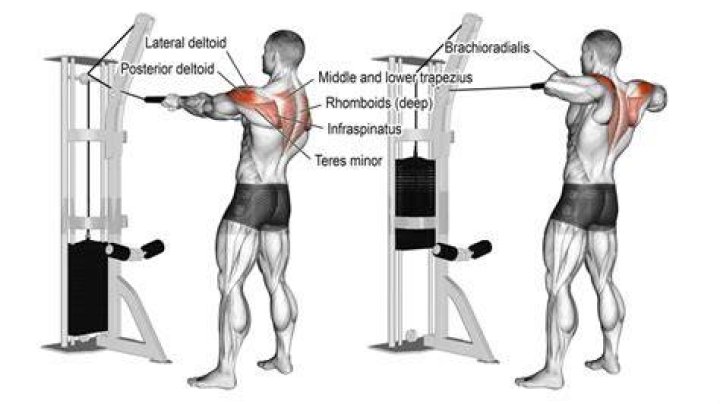Cable Rear Delt Row Benefits, Muscles Worked, and More Inspire US