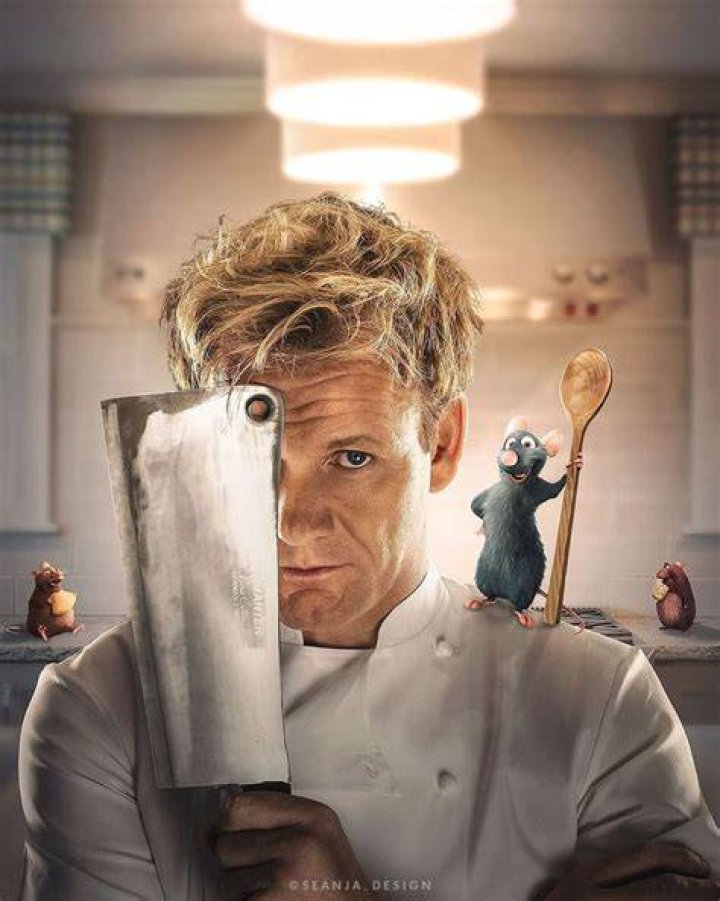 Chef Ramsay Vs Remy (ratatouille) Chef gordon ramsey, Gordon ramsay