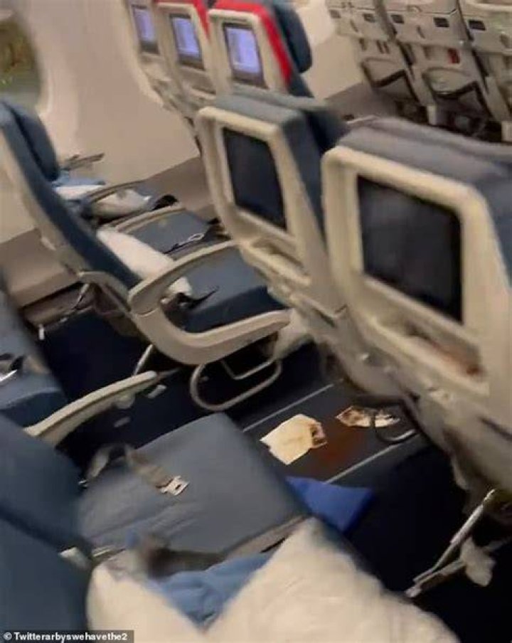 Delta Flight Diarrhea Video, Picture Show Aftermath