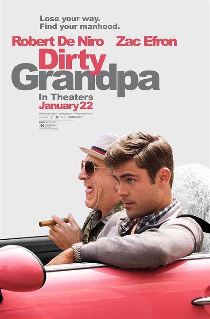 Dirty Grandpa Cast Every Actor and Character in the 2016 Movie