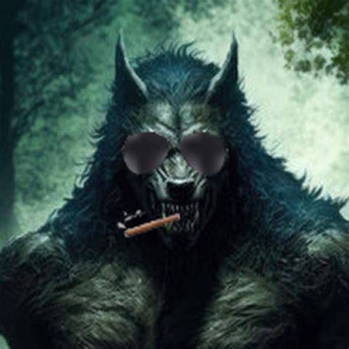 Discovering The Mystique Of The Boogawolf Animal