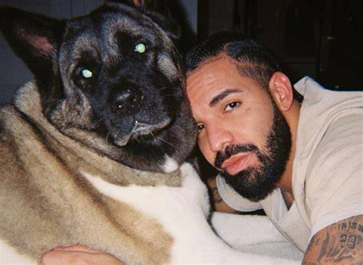 Drake Dogs Will Be Dogs ft Teezo Touchdown & 21 Savage (Audio) YouTube