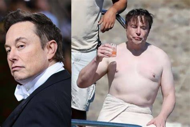 Elon Musk Responds to Shirtless Photos of Him Partying On Yacht in Mykonos