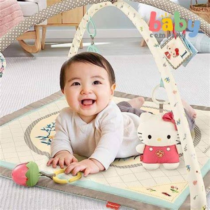 FisherPrice Sanrio Baby Musical Gym Toys"R"Us Singapore Official Website