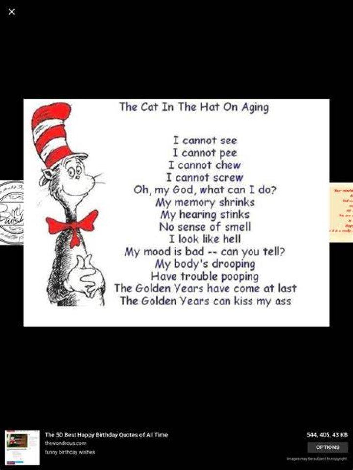 Funny Happy Birthday Song Lyrics Sarcastic Williams Noren1971