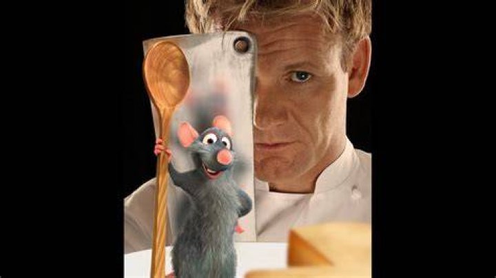 Gordon Ramsay in Ratatouille YouTube