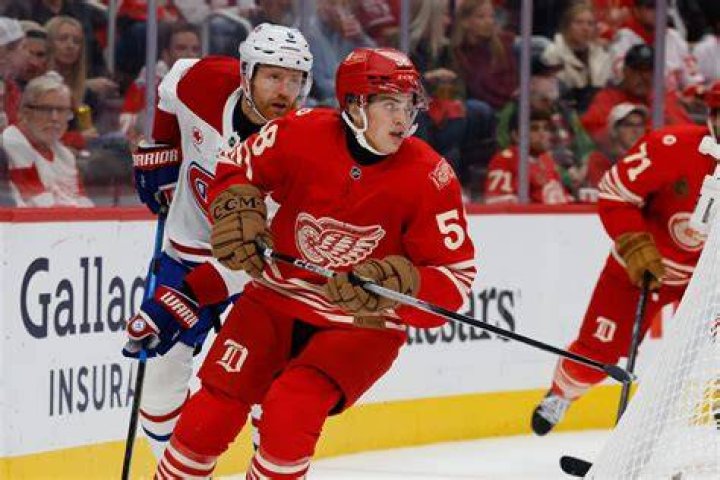 Grading the Red Wings&rsquo; 2020 NHL Draft What we know about Detroit&rsquo;s class The Athletic