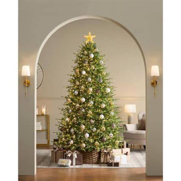 Home Depot&rsquo;s T27 Christmas tree has TikTok users rushing to their local