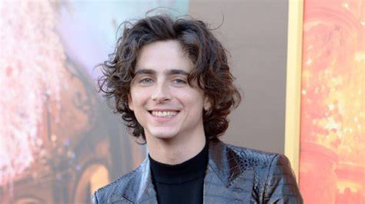 How Old Is Timothee Chalamet? POPSUGAR Celebrity
