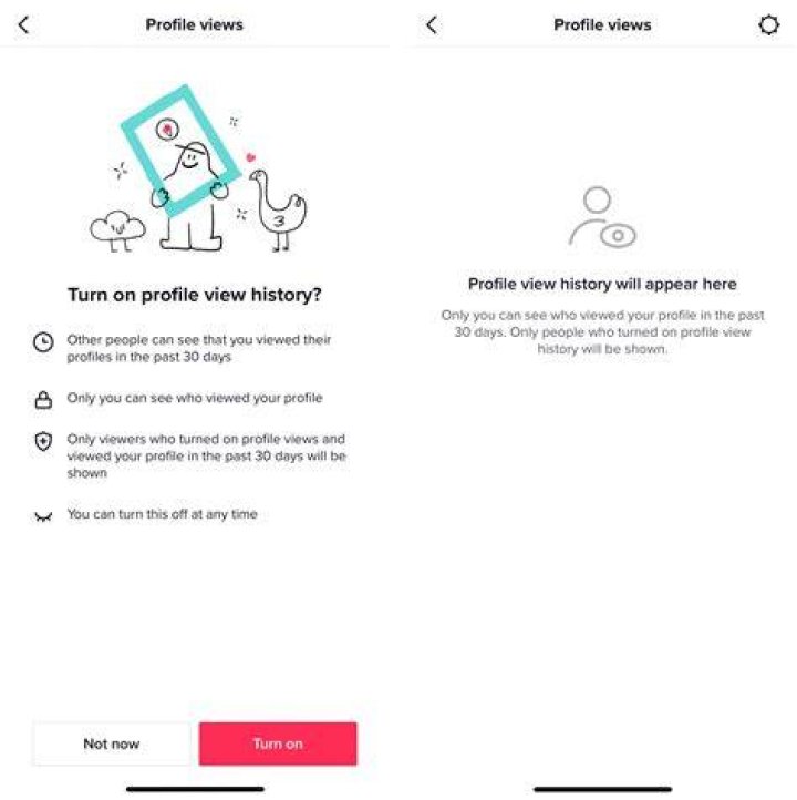 How to view TikTok profile viewer history? Feature explained as it