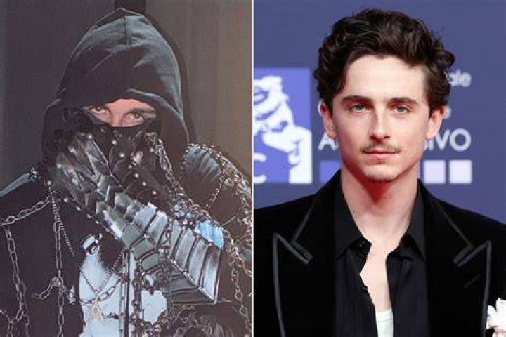 Interview Timoth&eacute;e Chalamet on being a young Hollywood actor SilverKris