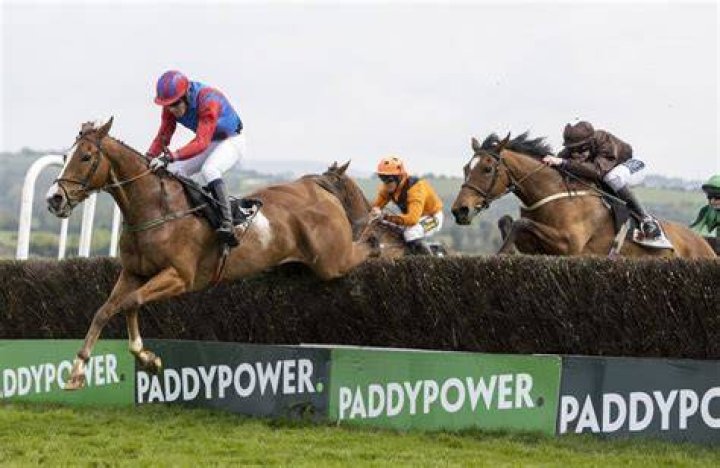 Irish jump racing season comes to an end as HRI announce Fairyhouse and