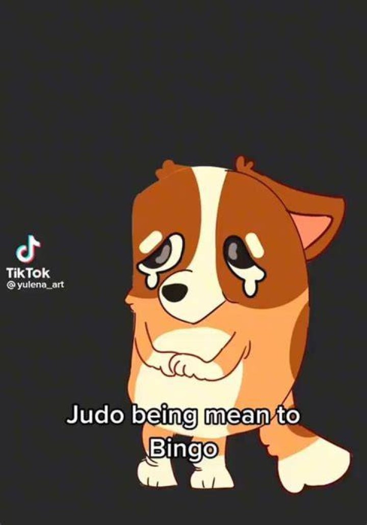 Judo being mean to Bingo, iFunny