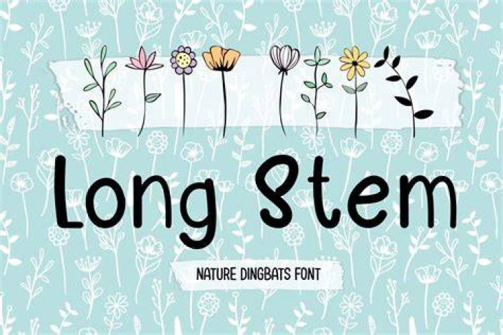 Kinesiology, Stem, Fonts, Stickers, Designer Fonts, Types Of Font
