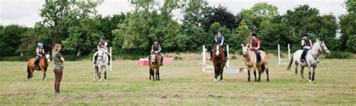 LillieJay Hayter Lavant Equestrian