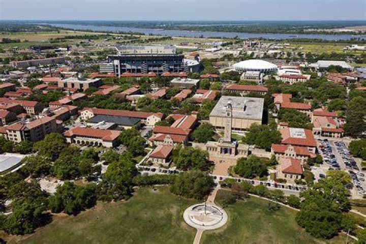 LSU's Olivia Dunne talks investing, patience in NIL surge
