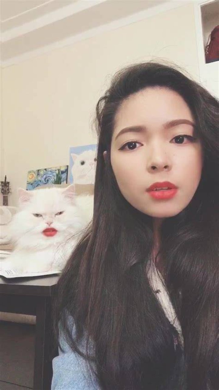Lyka(lykapido) on TikTok catsoftiktok thisisforrachel 