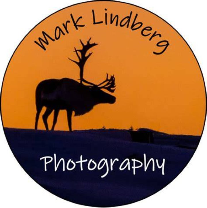 Mark lindberg hires stock photography and images Alamy