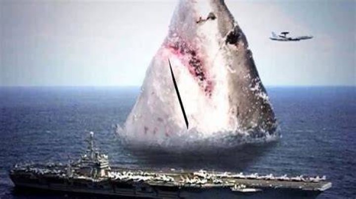 Megalodon sightings When and where have the giant sharks been spotted?