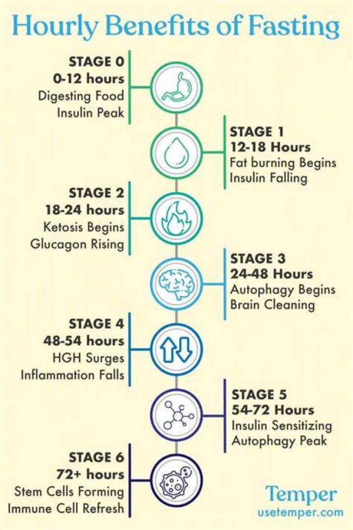 Metabolic StepByStep Stages Of Fasting In The First, 58 OFF