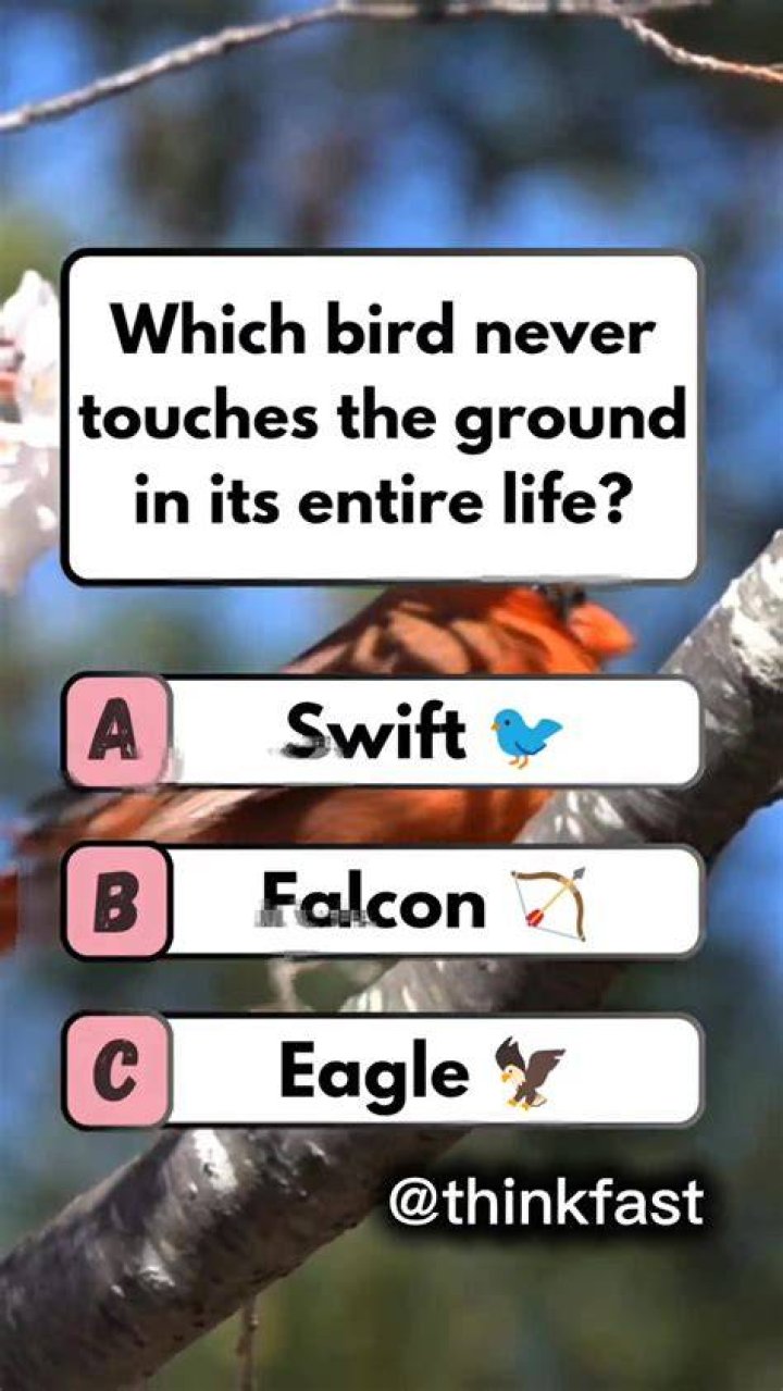 Mindboggling brainteaser shows how your brain ignores weird details