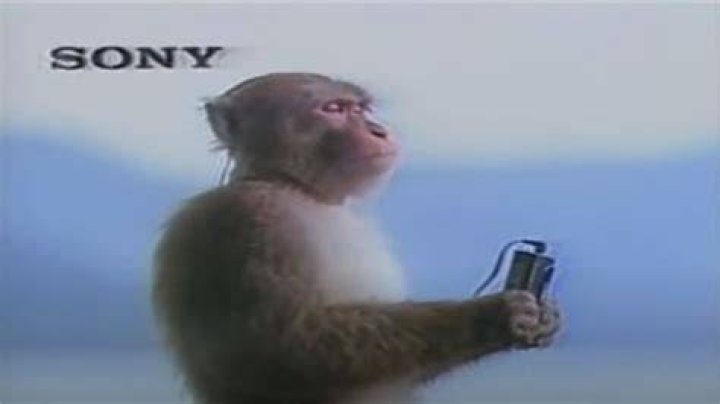 Monkey listening to music meme template download