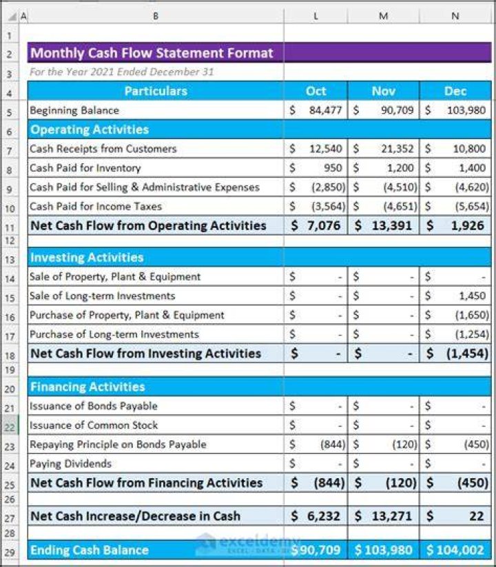 Monthly Cash Flow Statement