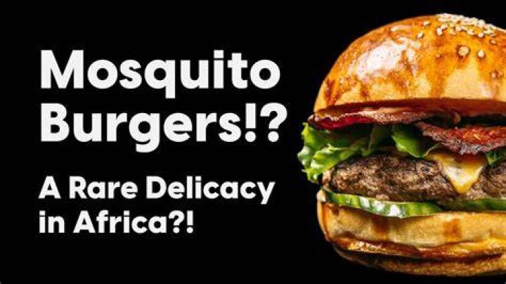 Mosquitoes/Flies Burgers from Africa! YouTube