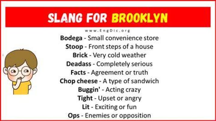 New yorker slang Brooklyn Multicultural, tiene fabulosas vistas a