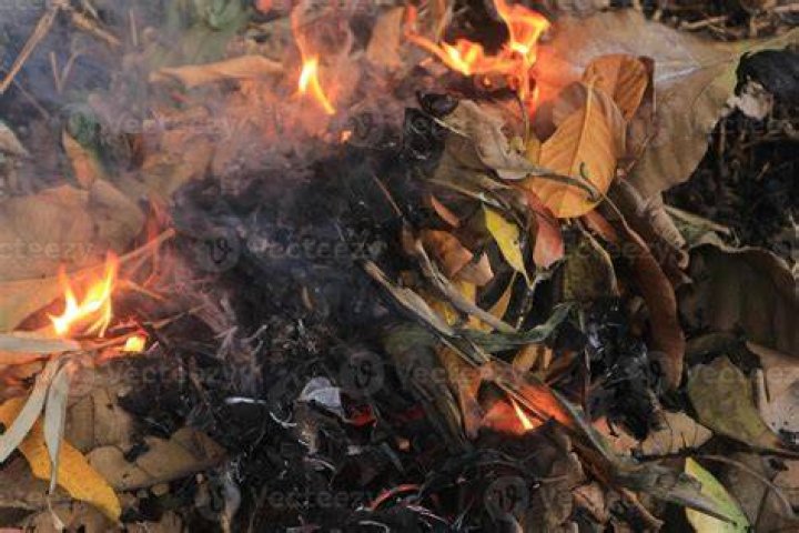 NO BURNING Too Dry & Too Windy Kosciusko News 24/7