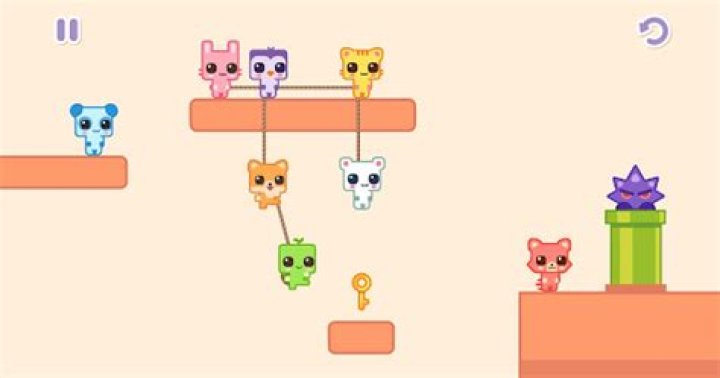 Online Cats Multiplayer Park Apps on Google Play