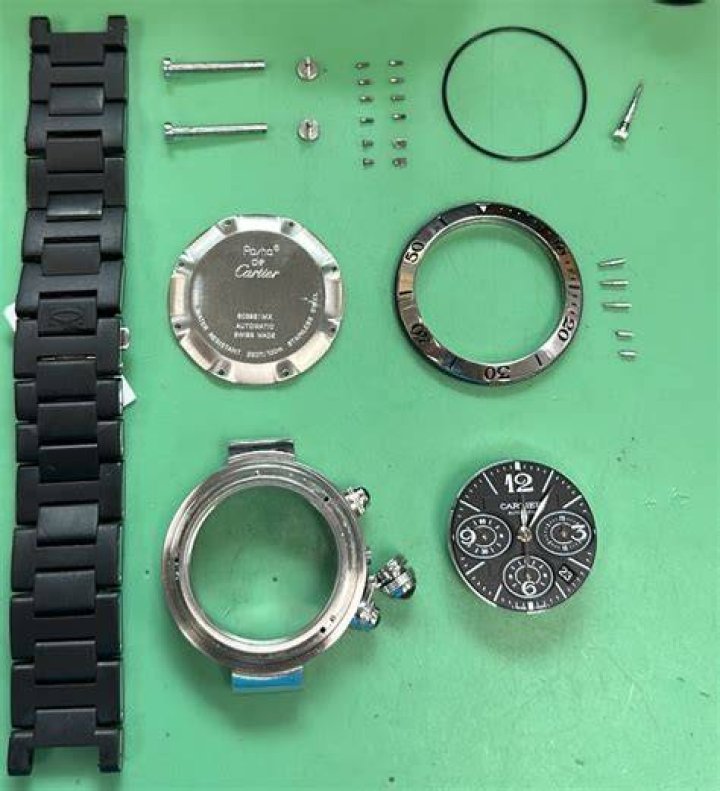 Pasha de Cartier Overhaul of the Collection 2020 With Rami Malek