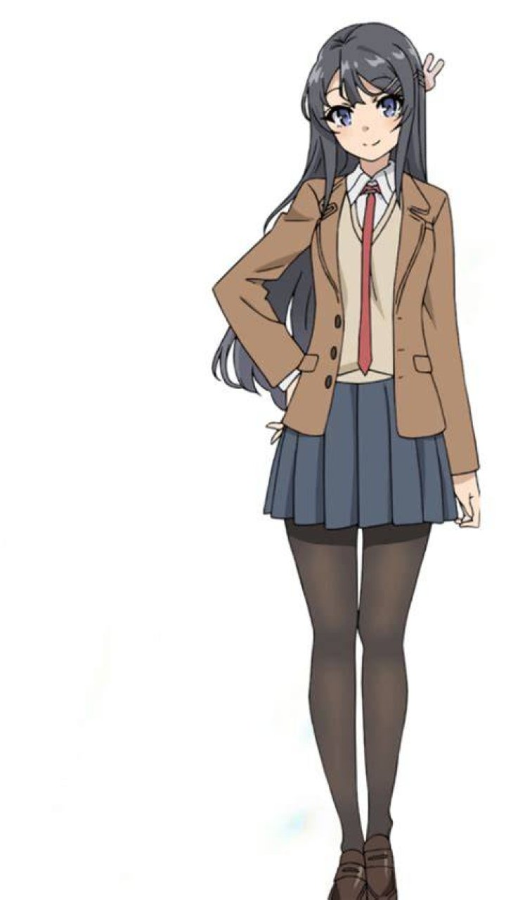 Pin on Seishun Buta Yarou