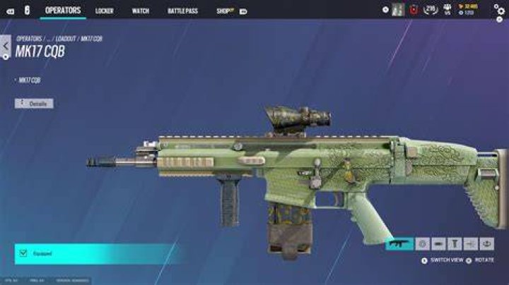 [REQUEST] Guiding Defender attachment skin + Gold weapon skin? ) r