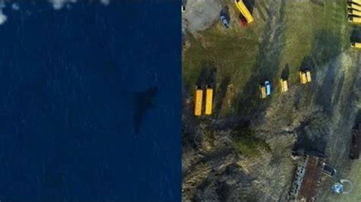 Satellite image has conspiracy theorists convinced Megaladon's still